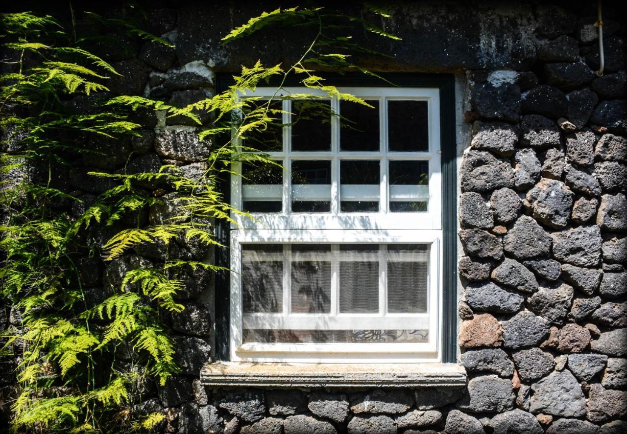 Villa Quinta Dos Frutos Santa Cruz da Graciosa Exterior foto