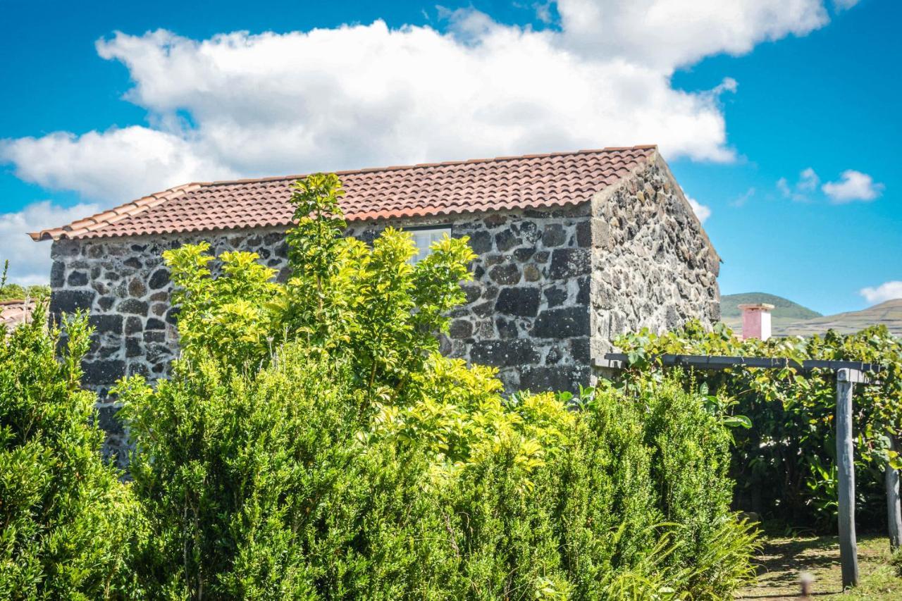 Villa Quinta Dos Frutos Santa Cruz da Graciosa Exterior foto